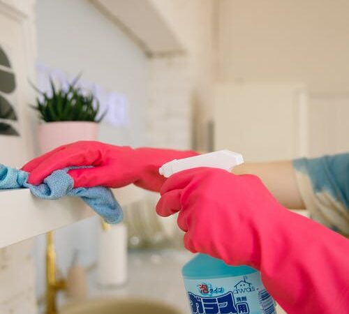 Professional cleaning services: how to choose the best in Australia